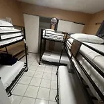 Shared Room For Men - Tropical Room - Bunk 6